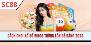 Cách Chơi Xổ Số Bingo Hiệu Quả Từ Chuyên Gia SC88