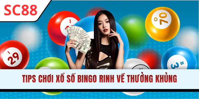 Bí kíp đặt cược lô đề Bingo thắng lớn dễ dàng